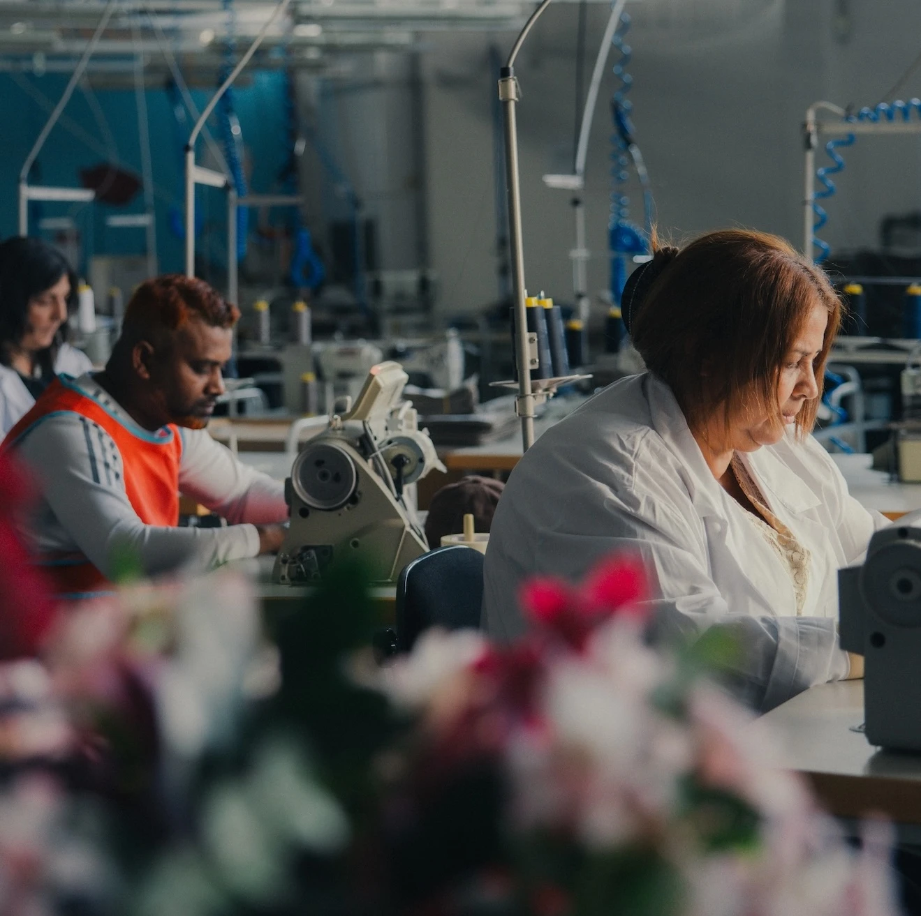 Impresa sociale QUID