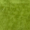 Verde tinta unita