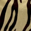 Marrone stampa animalier
